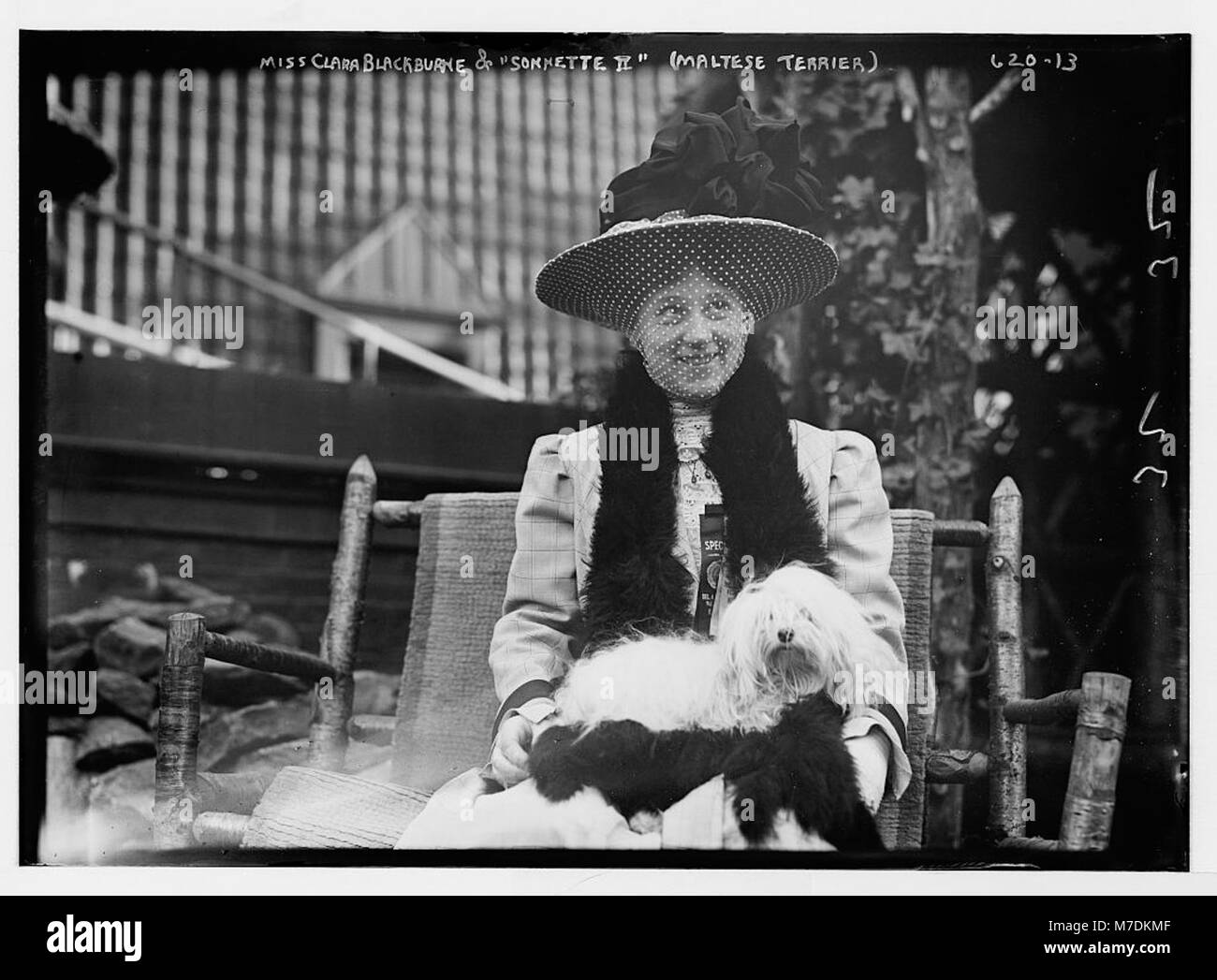 Portrait de Miss Clara Blackburne avec son Terrier maltais, 'sonnerie II' cette photographie capture le lien personnel entre l'individu et son animal de compagnie, reflétant un moment intime. Banque D'Images