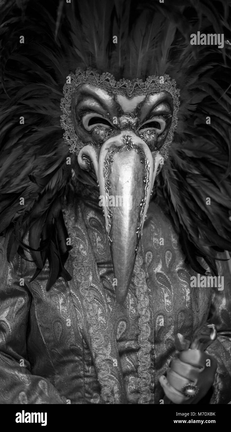 Carnival-goer portant masque et costume orné de plumes photo prise lors du Carnaval de Venise / Carnaval de Venise. Banque D'Images