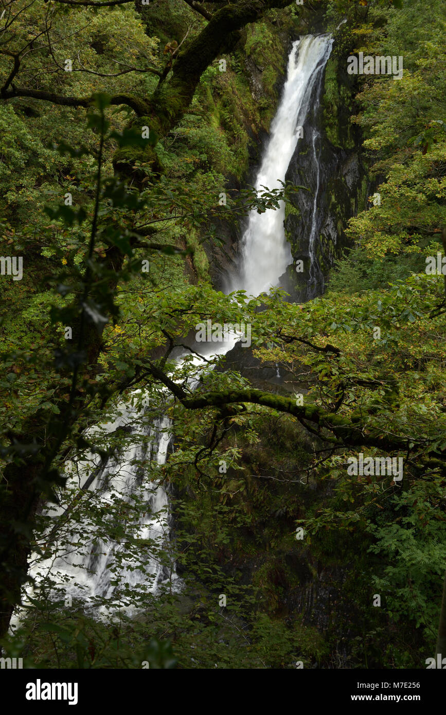 Une cascade sur la Mynach Falls à Devil's Bridge Banque D'Images