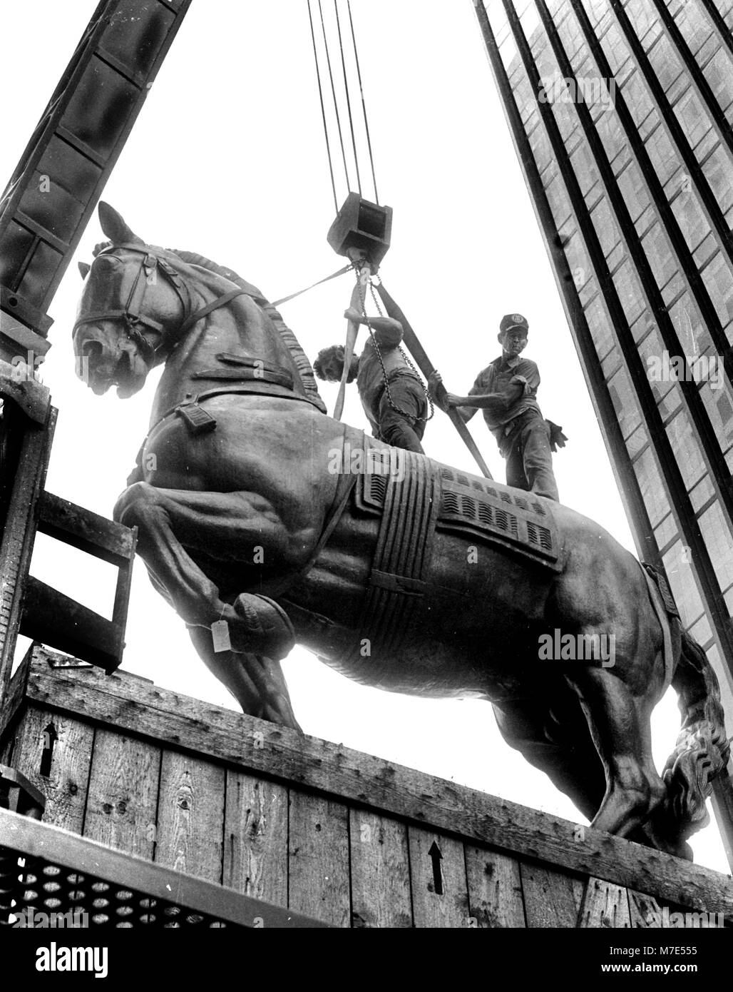 Trammell Crow's cheval en bronze livré à Dallas Tx USA, le Monument à Alvear cheval par Antoine Bourdelle (31 octobre 1861 - 1 octobre 1929), un sculpteur français influents photo de Bill belknap 1985 Banque D'Images