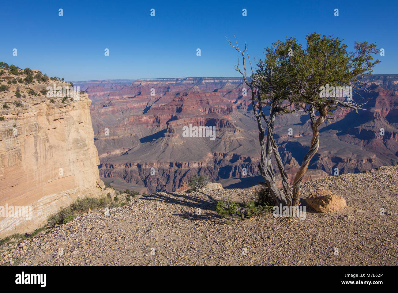 Grand Canyon vue du point de Maricopa, Hermit Road, Grand Canyon, Arizona, USA Banque D'Images