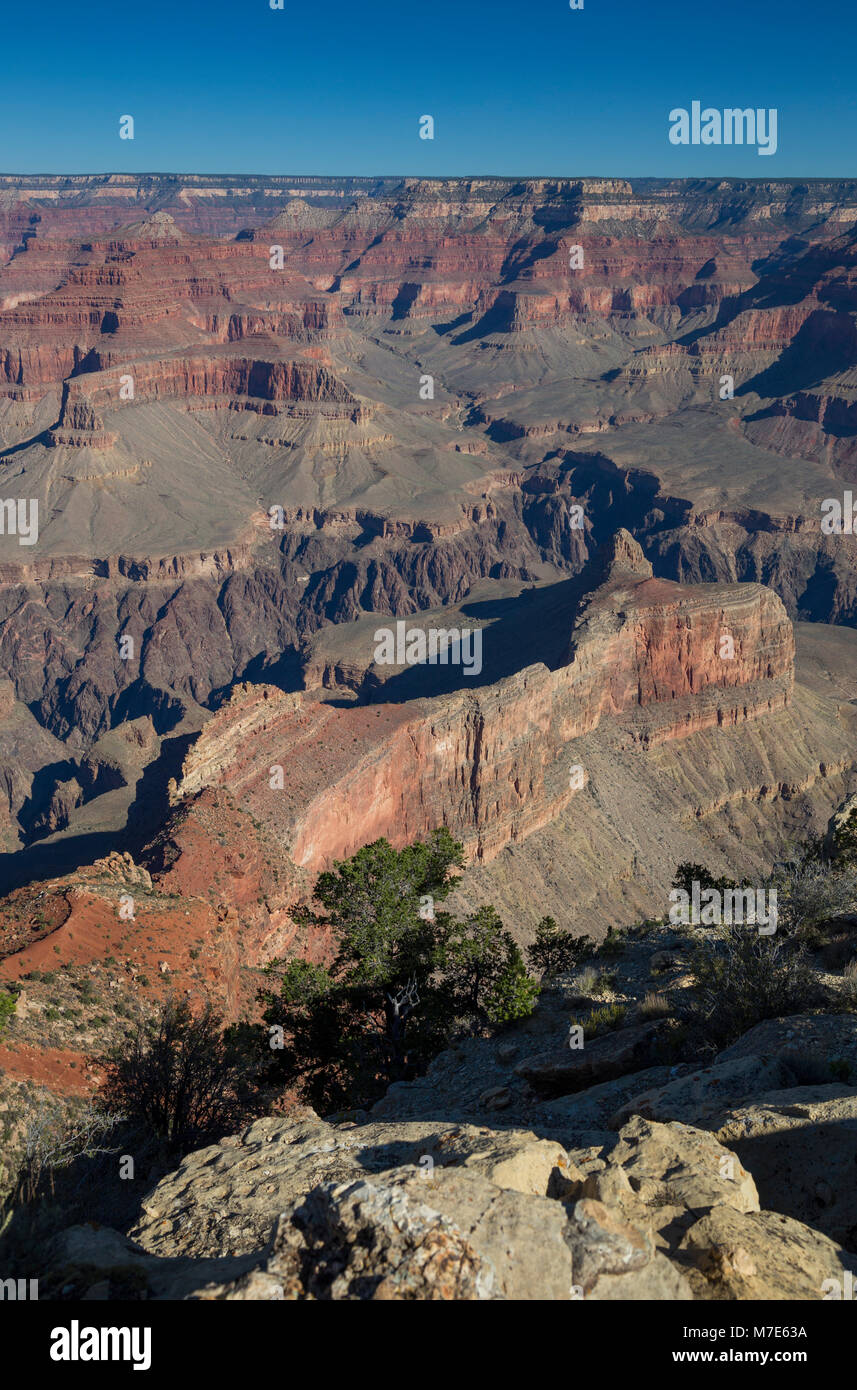 Grand Canyon vue depuis Powell Point, Hermit Road, Grand Canyon, Arizona, USA Banque D'Images