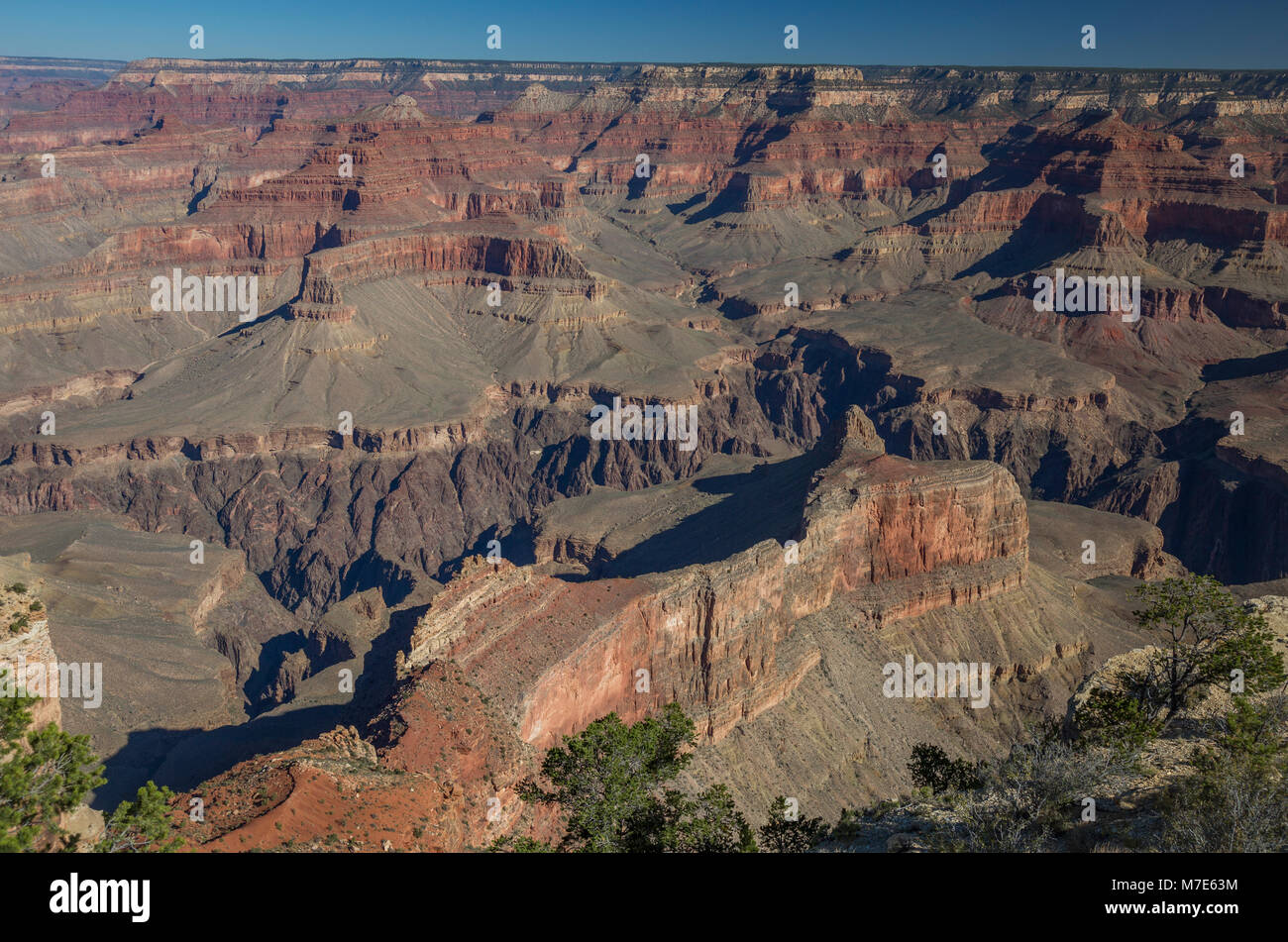 Grand Canyon vue depuis Powell Point, Hermit Road, Grand Canyon, Arizona, USA Banque D'Images