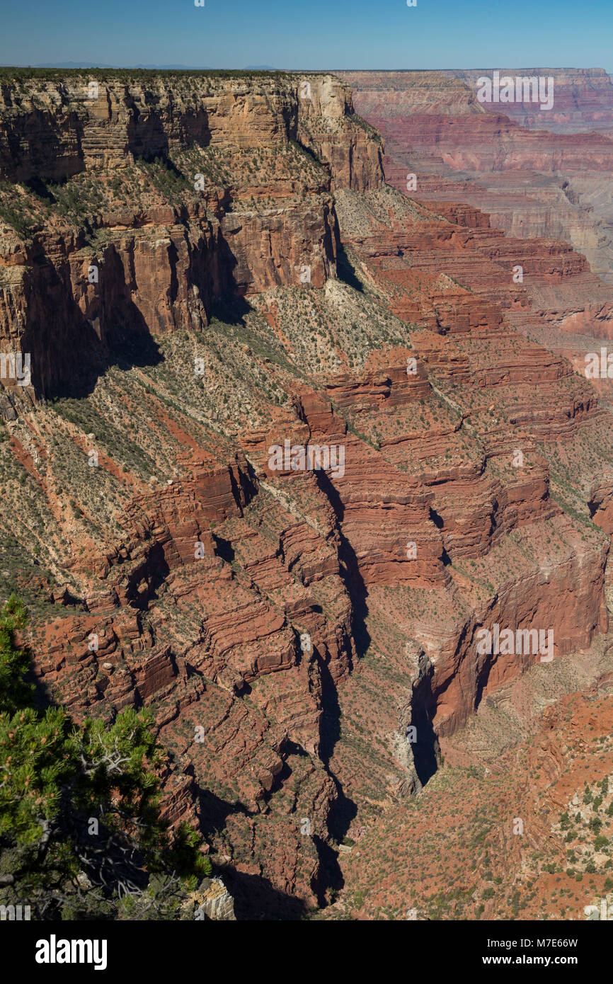Vue du Grand Canyon de l'Abîme, ermite Road, Arizona, USA Banque D'Images