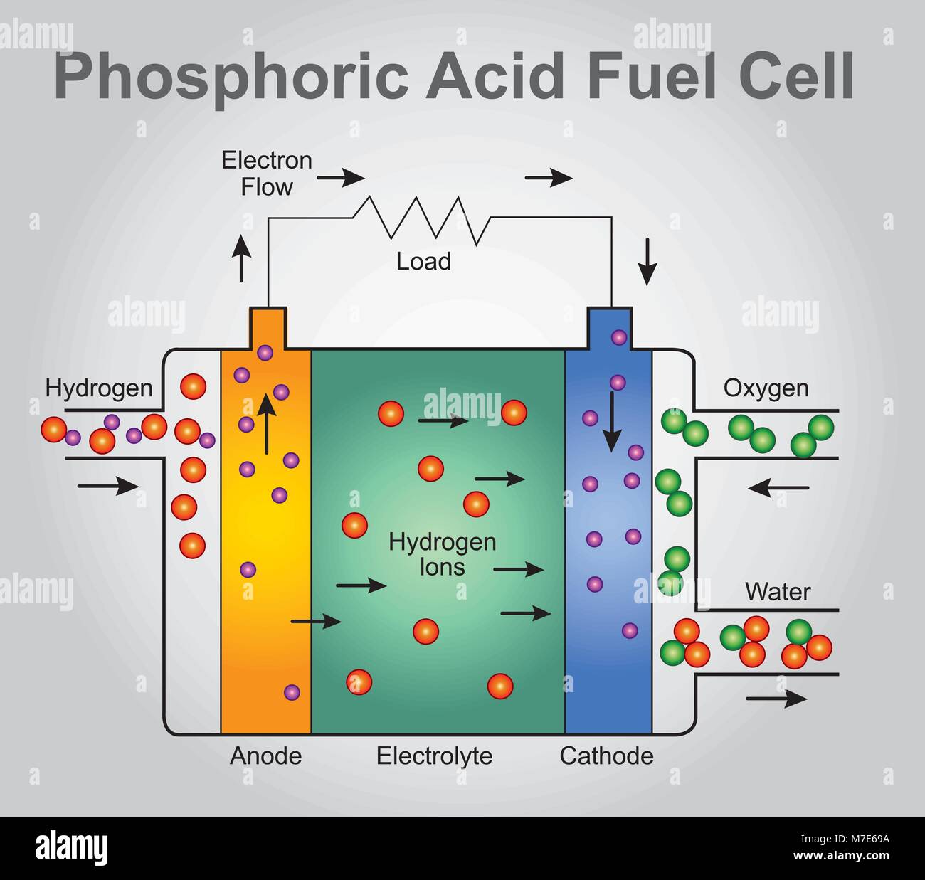 La structure de pile à acide phosphorique. La technologie de l'éducation info graphic vector. Illustration de Vecteur