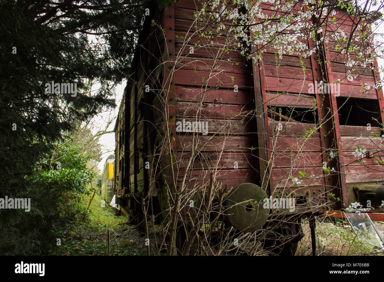 Des trains abandonnés Banque D'Images