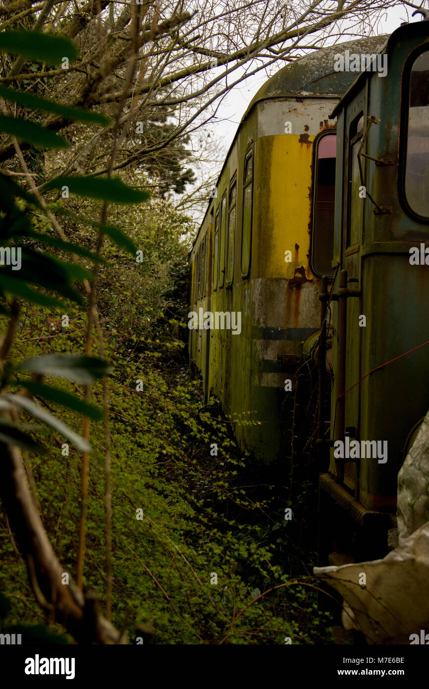 Des trains abandonnés Banque D'Images