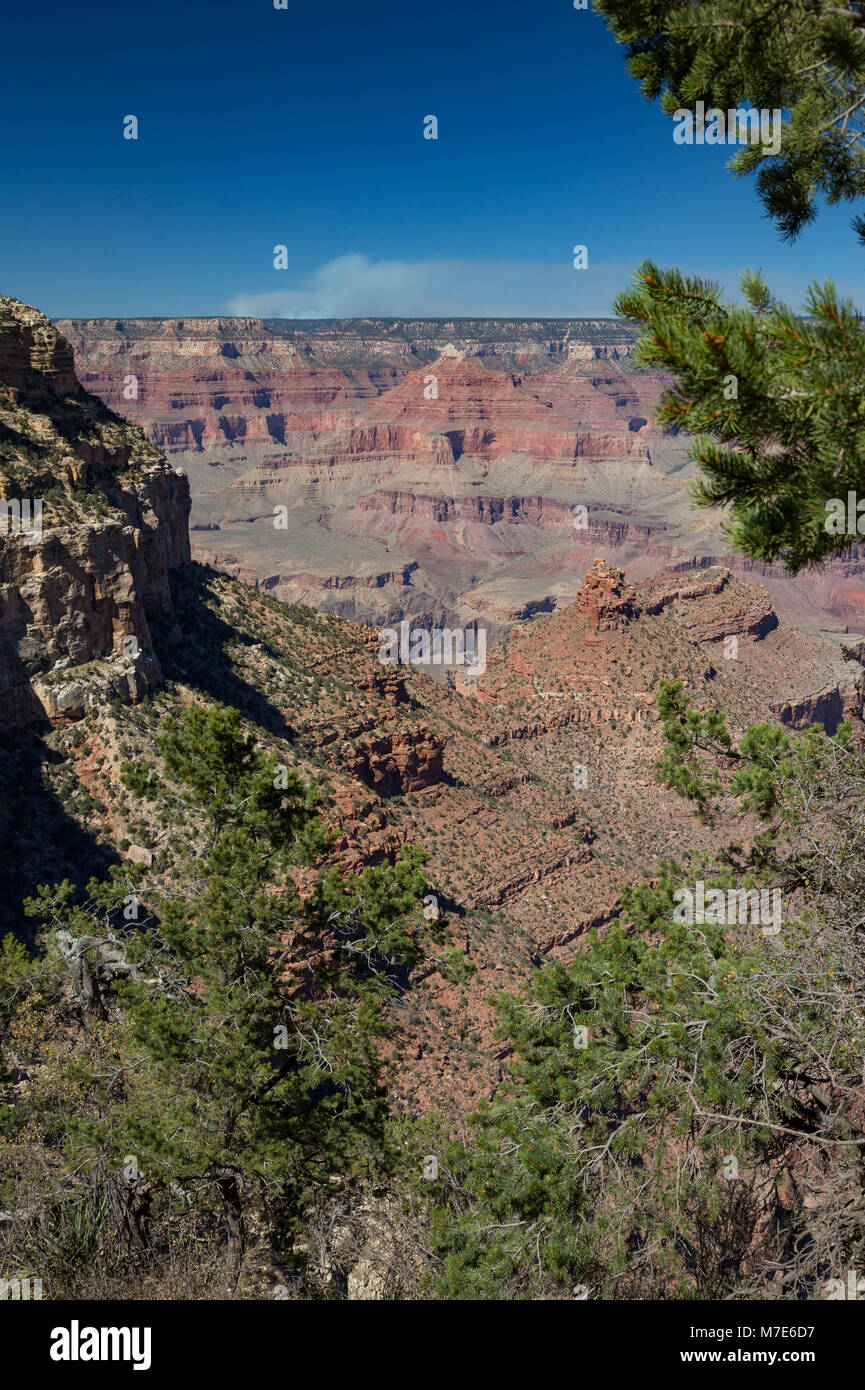 Vue depuis le Grand Canyon Rim Trail, au Village du Grand Canyon, Arizona, USA Banque D'Images