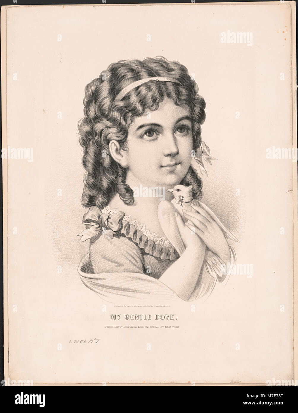 Cette image intitulée 'My Gentle Colombe' dépeint une scène délicate, se concentrant probablement sur le thème de l'innocence et de la sérénité. Banque D'Images