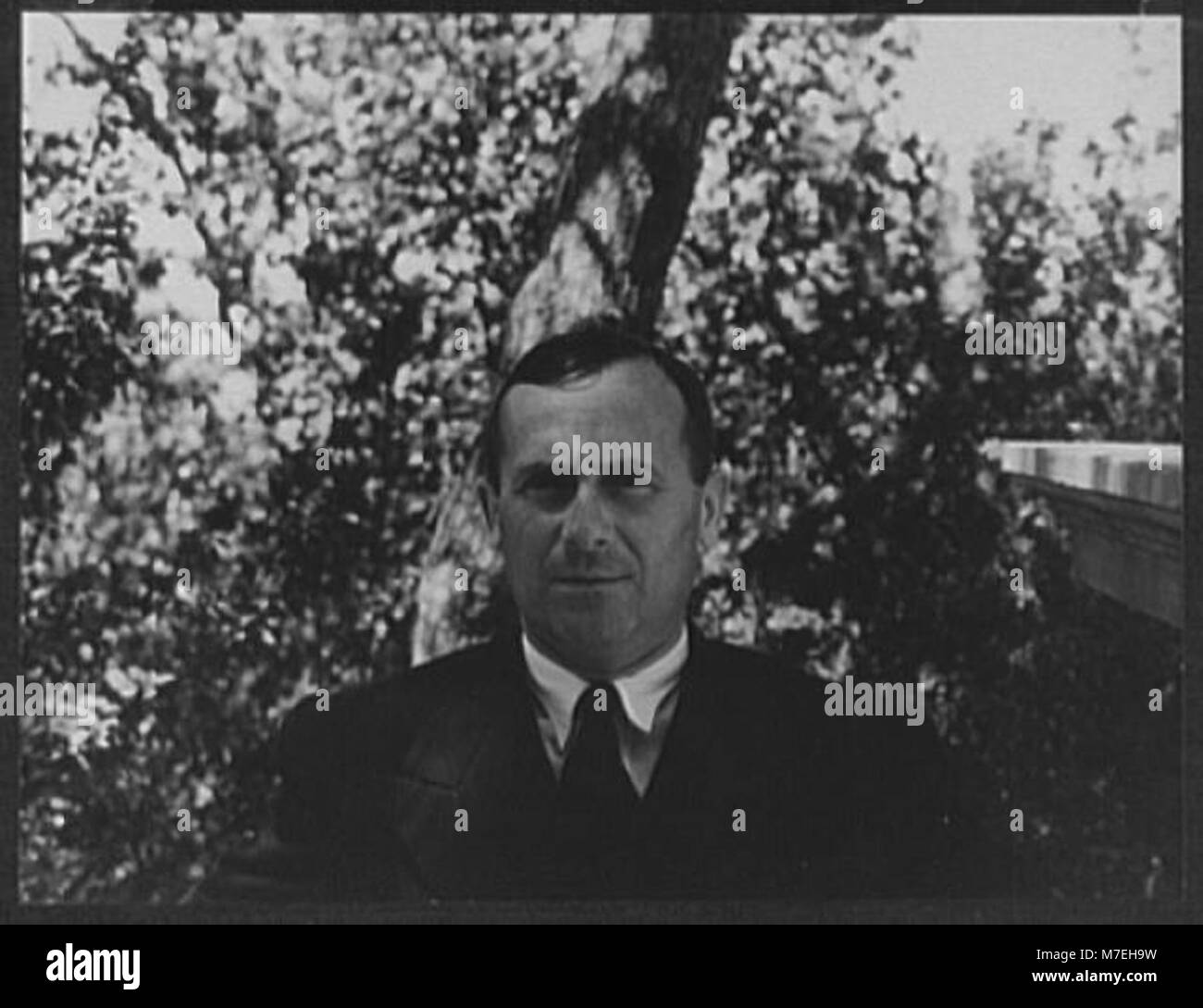 Portrait du peintre espagnol Joan Miró. L'image capture son caractère artistique et sa présence distinguée dans le monde moderne des multiples Banque D'Images