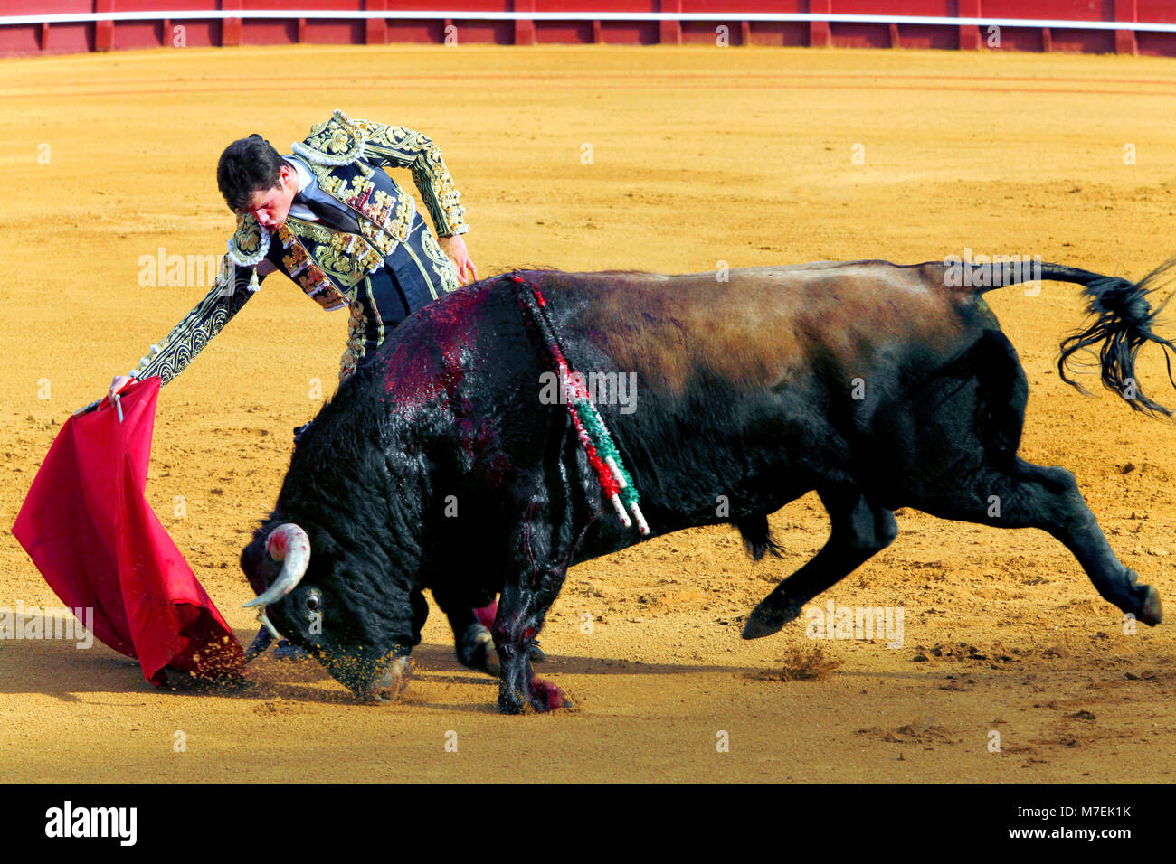 Au cours de corrida Feria de Abril Foire d'Avril de Séville, la Plaza de toros de la Real Maestranza de Caballería de arènes de Séville, Séville, Espagne Banque D'Images