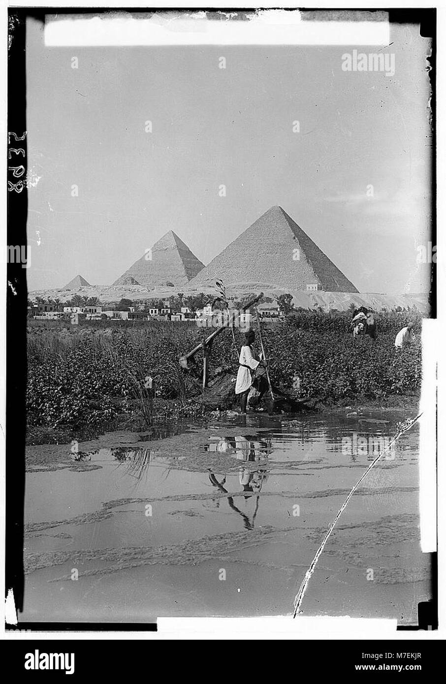Une photographie des trois pyramides de Gizeh, Egypte, avec un shaduf (outil d'irrigation ancien) au premier plan, identifié par LOC matpc.00437. Banque D'Images