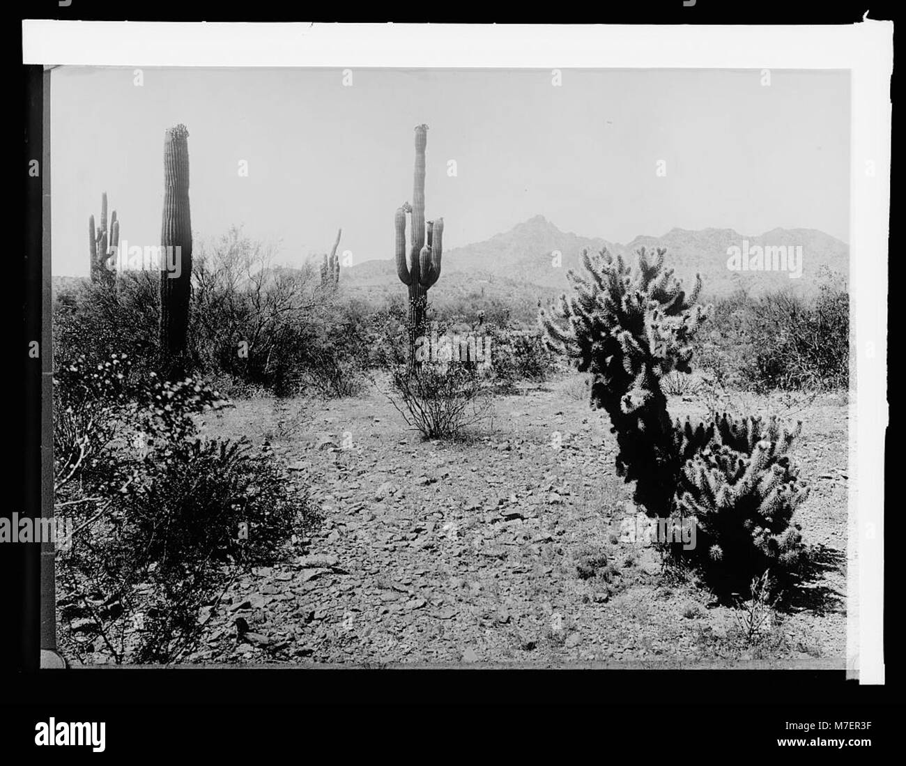 Le projet Salt River à Phoenix, Arizona, est une importante organisation de gestion des ressources en eau et de services publics d'électricité qui dessert la région avec des services essentiels comme l'irrigation, la production d'électricité et la conservation de l'eau. Banque D'Images