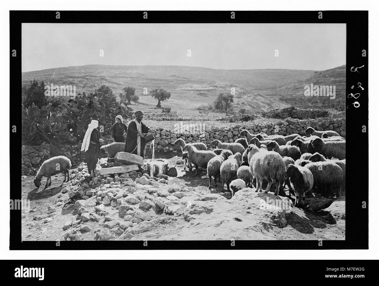 Un ensemble de treize diapositives représentant la vie de berger, illustrant le passage biblique 'My Cup Runneth Over' du vingt-troisième Psaume. Les images capturent les thèmes pastoraux et spirituels du psaume. Banque D'Images