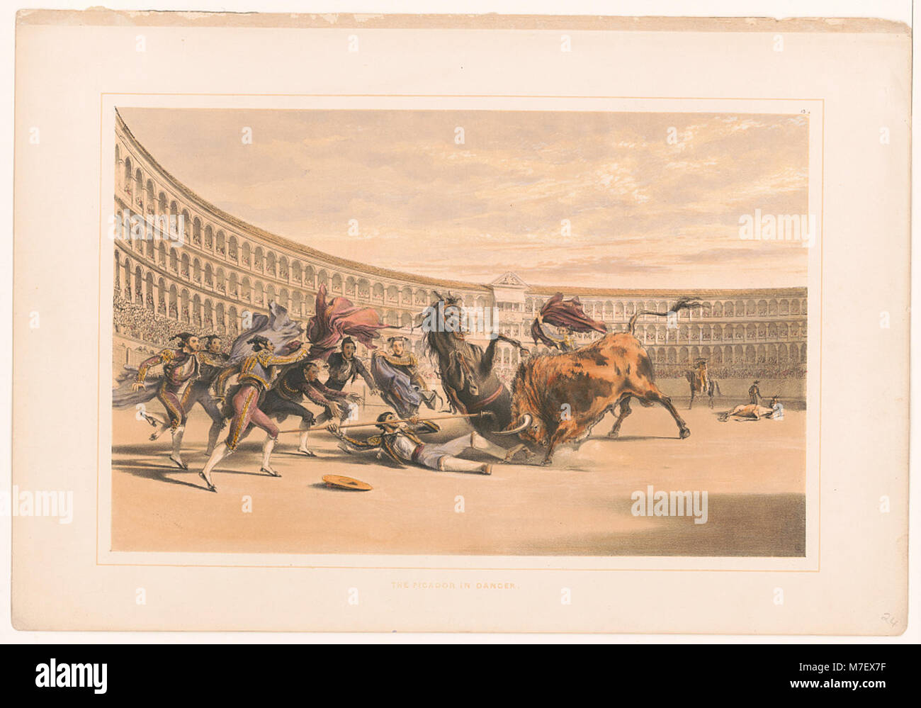 Un moment dramatique capturé lors d'une corrida montrant le picador dans un moment de péril, une scène traditionnelle de la corrida espagnole. Banque D'Images