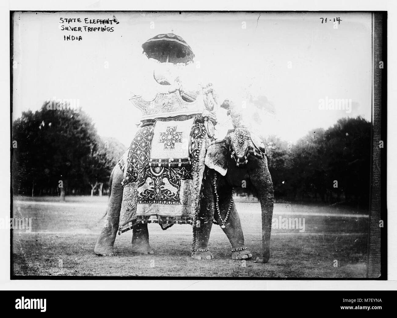 Un éléphant d'État en Inde, orné de pièges argentés complexes. L'image met en évidence le rôle cérémonial de l'éléphant et l'artisanat détaillé des décorations, qui sont souvent vus dans les processions royales indiennes traditionnelles. Banque D'Images