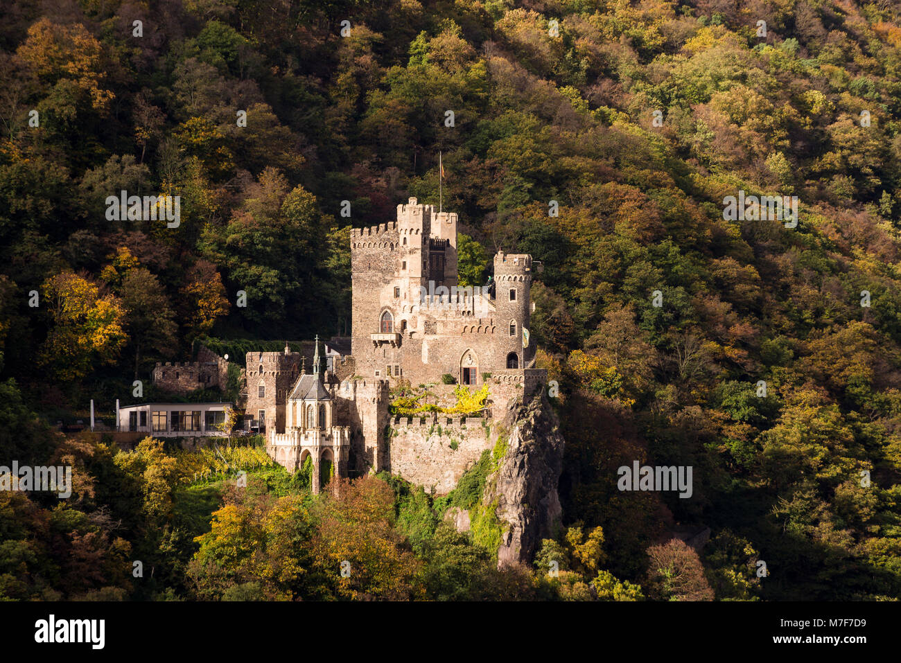 Burg Rheinstein bei Assmannshausen, Rheingau, Hessen, Allemagne Banque D'Images
