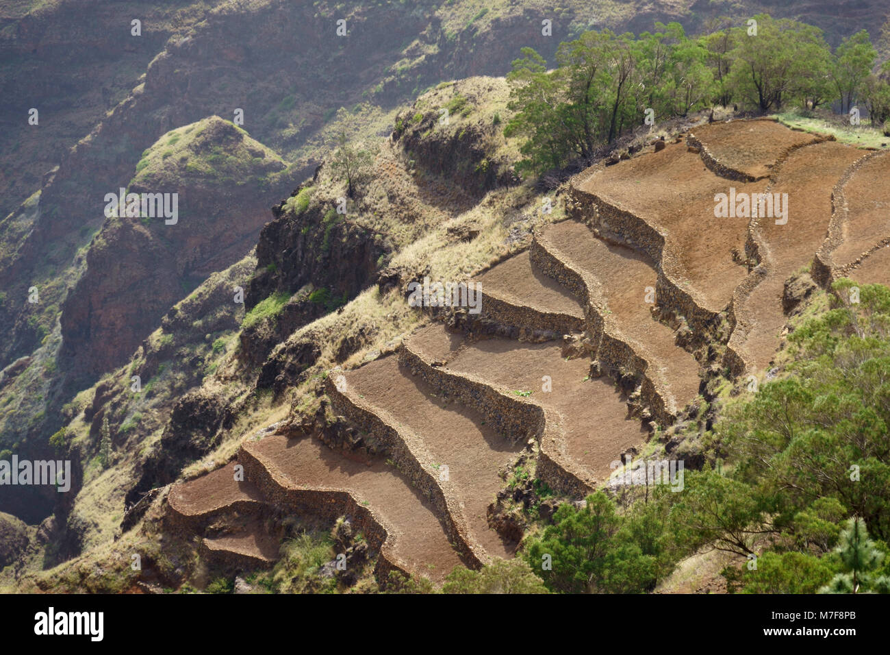 Terrasses sur le terrain près de Pico da Cruz, Santo Antao, Cap Vert Banque D'Images