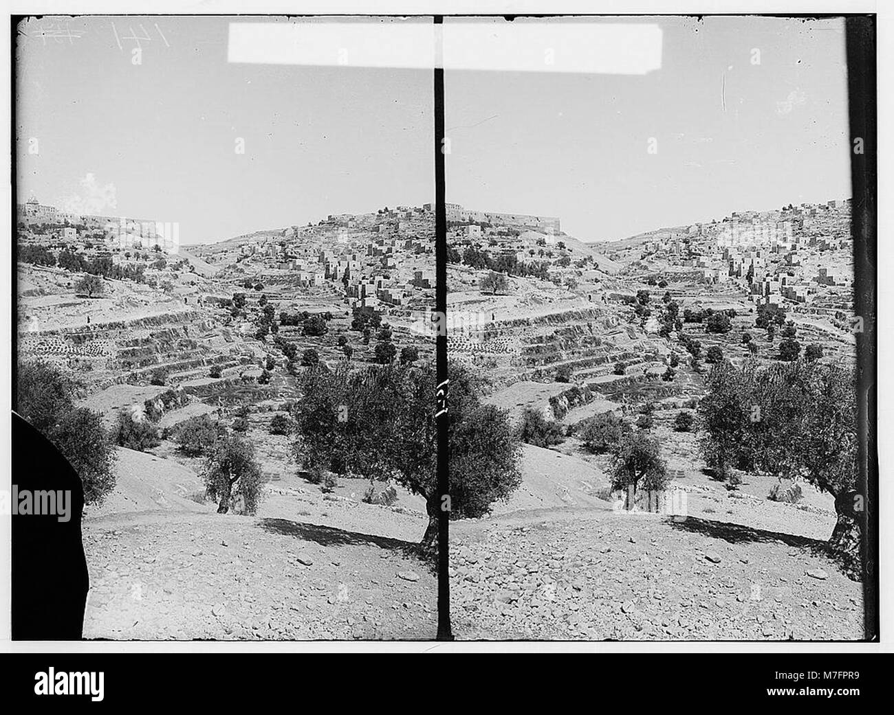 Vallées de Josaphat et de Hinnom. Vallée de Josaphat, les murailles de la ville au loin. LOC.00929 matpc Banque D'Images