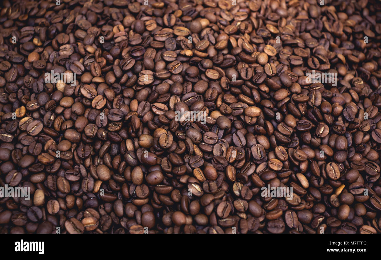 Grains de café Banque D'Images