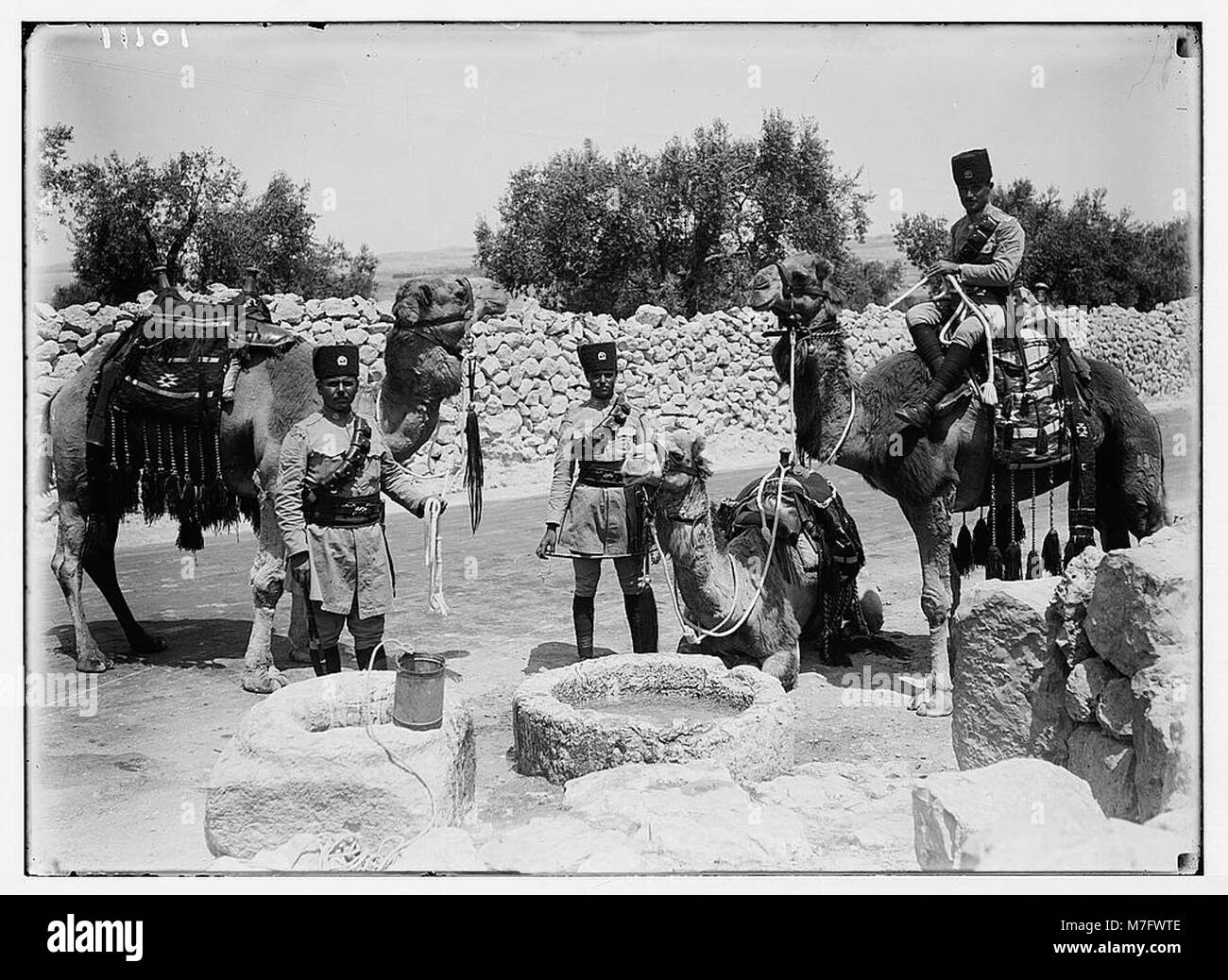 Bien des Mages avec trois chameaux de la Transjordanie garde-frontières. LOC.04149 matpc Banque D'Images