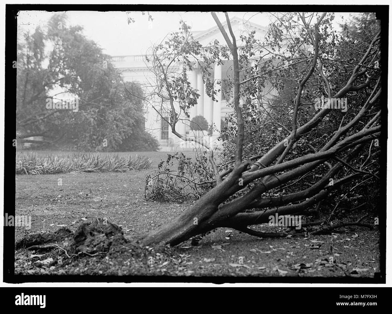 Cette photographie montre la Maison Blanche après avoir subi des dommages causés par la tempête, soulignant les effets des événements météorologiques sur le bâtiment emblématique et les mesures prises pour le réparer. Banque D'Images