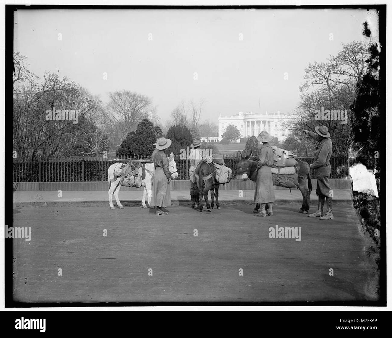 Une photographie de la Maison Blanche, la résidence officielle et le lieu de travail du président des États-Unis, située à Washington, D.C. C'est un symbole emblématique du gouvernement et de la politique des États-Unis. Banque D'Images Une photographie de la Maison Blanche, la résidence officielle et le lieu de travail du président des États-Unis, située à Washington, D.C. C'est un symbole emblématique du gouvernement et de la politique des États-Unis. Banque D'Images