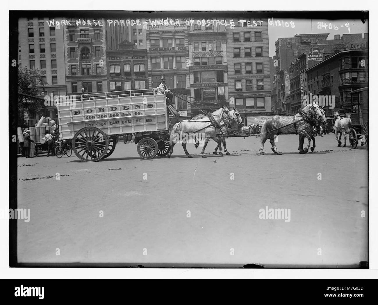 Une photographie de l'équipe Borden dans le Work Horse Parade, montrant le succès de l'équipe dans le test d'obstacles tenu à New York. Banque D'Images