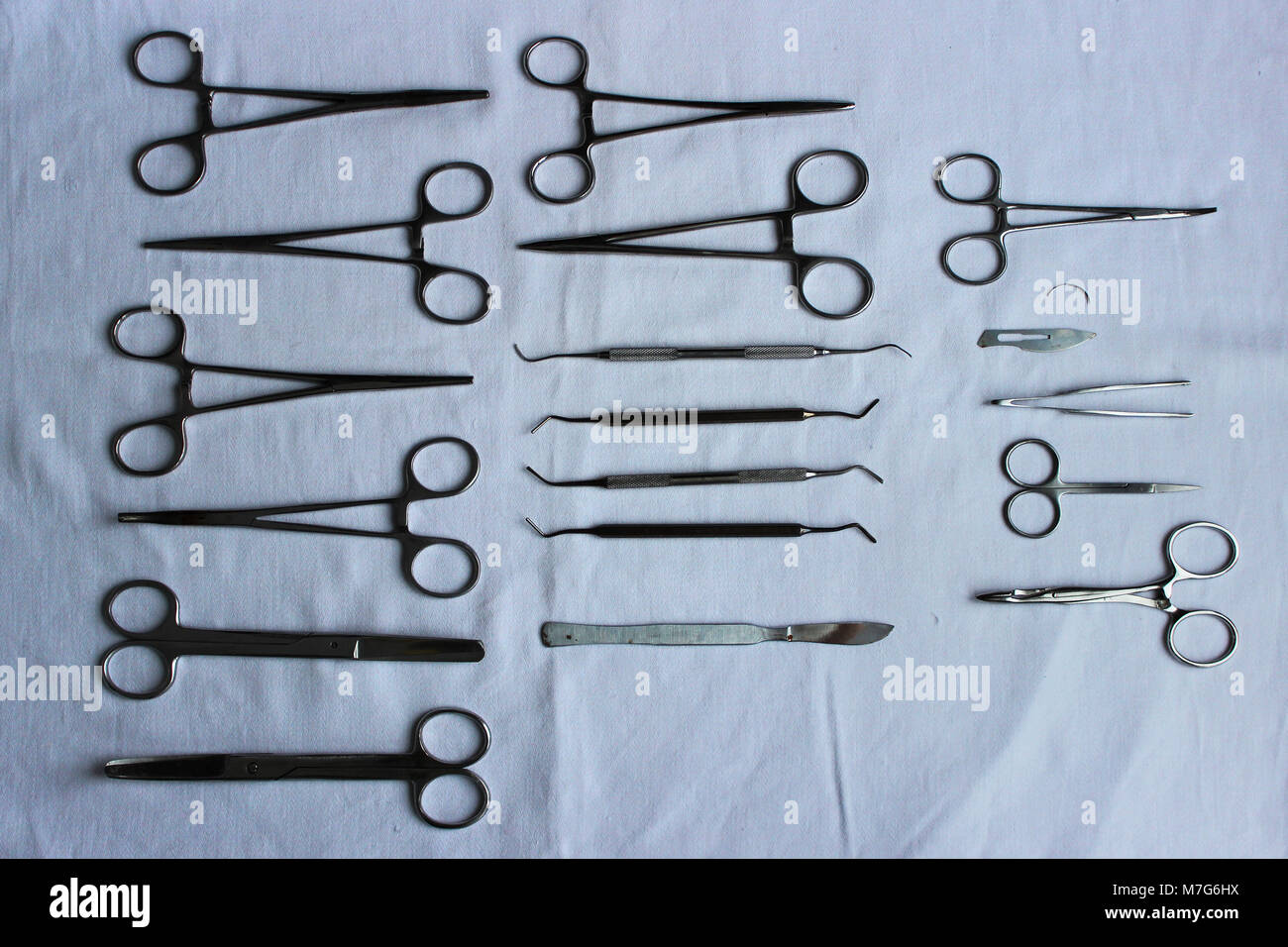 Les instruments chirurgicaux et les outils y compris les scalpels, les  pinces à épiler et disposés disposés sur un tissu bleu après lavage à sec  pour une chirurgie clinique vétérinaire Photo Stock -