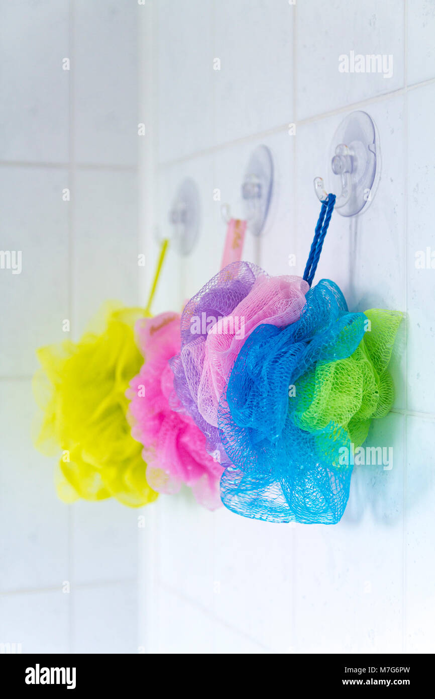 Salle de bains (douche chouchous souples Nettoyage de corps bouffées balles net alignés dans diverses couleurs contre carreaux dans salle de bains vide accroché à crochets sucker. Banque D'Images