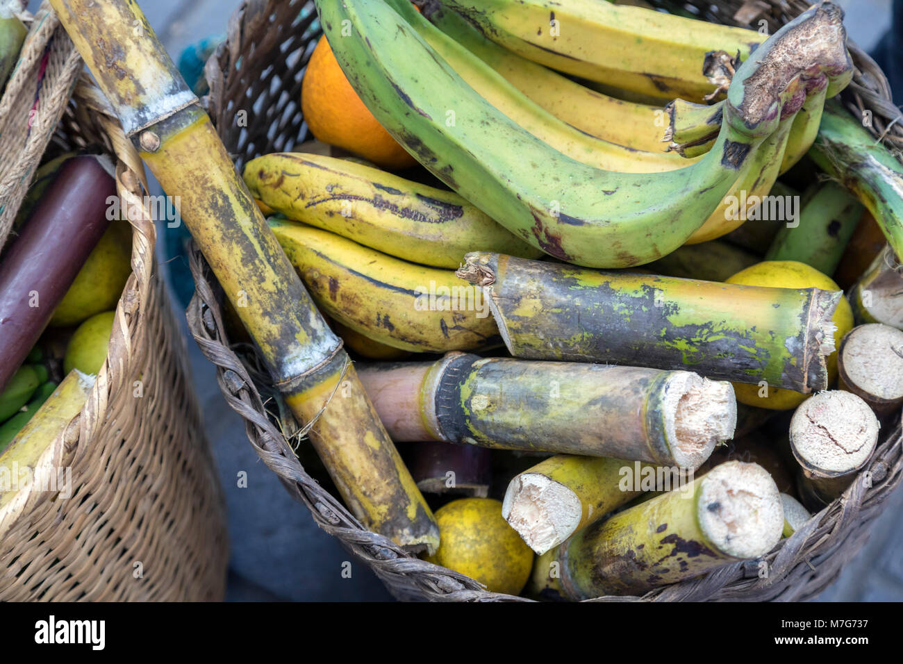Oaxaca, Oaxaca, Mexique - Les membres des communautés autochtones de tout l'état de l'Oaxaca affichent leur croissance au cours de l'DÃ-a Internacional de l Banque D'Images