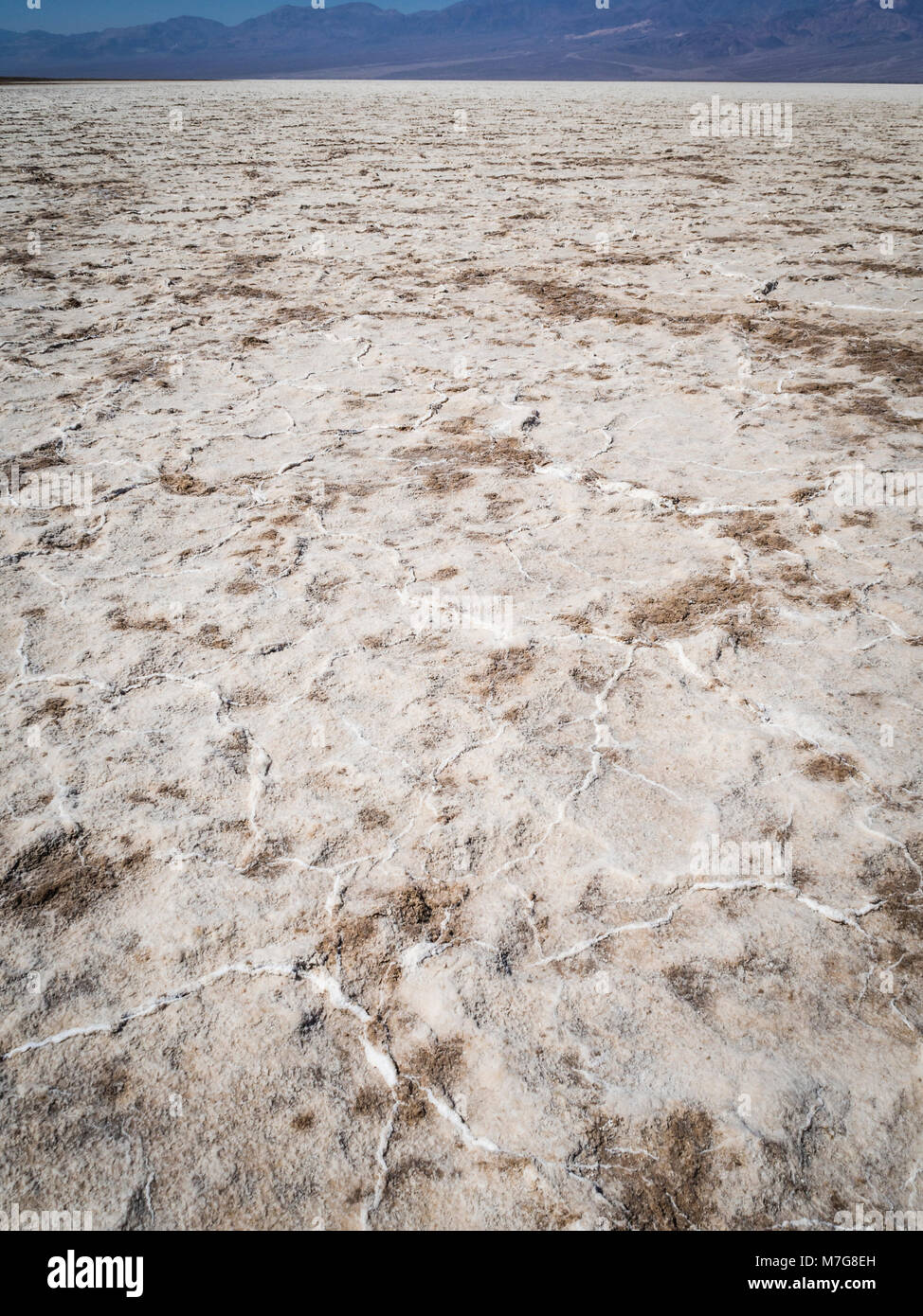 Télévision sel à Badwater Basin à Death Valley National Park, avec 282 pieds (86 m) au-dessous du niveau de la mer le point le plus bas aux États-Unis. Banque D'Images