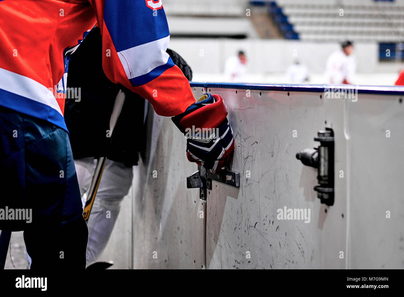 Gardien de hockey au monde Banque D'Images