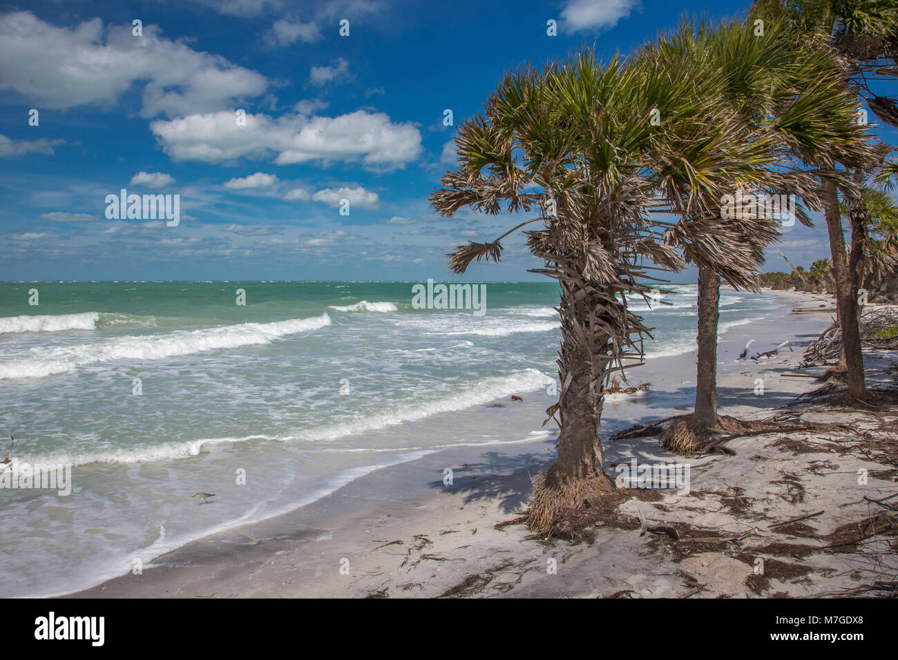Côte inhabitée sauvages d'Egmont Key State Park sur le golfe du Mexique sur la côte ouest de la Floride Banque D'Images