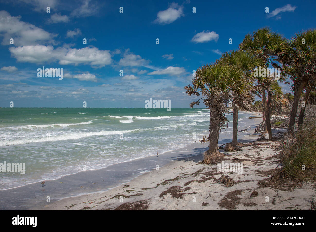 Côte inhabitée sauvages d'Egmont Key State Park sur le golfe du Mexique sur la côte ouest de la Floride Banque D'Images