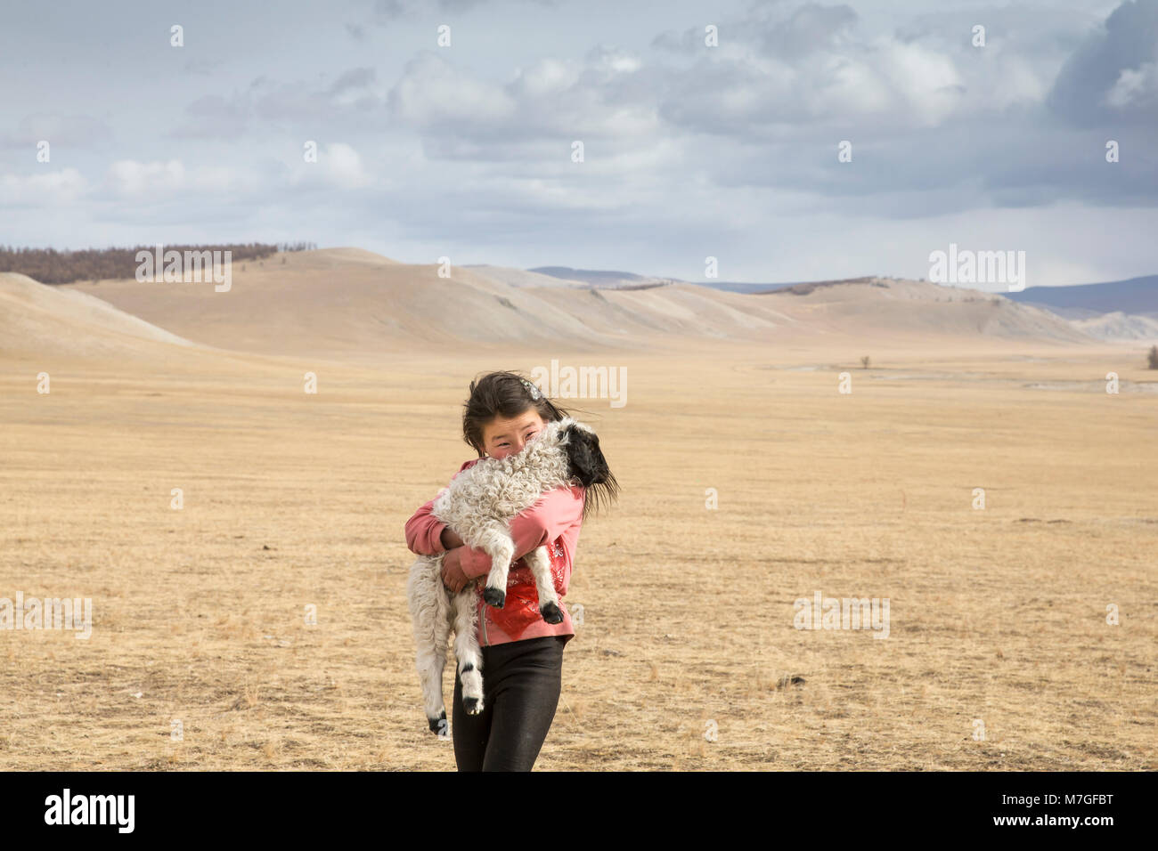 Hatgal, la Mongolie, le 2 mars 2018 : fille mongole portant un bébé mouton dans une steppe Banque D'Images