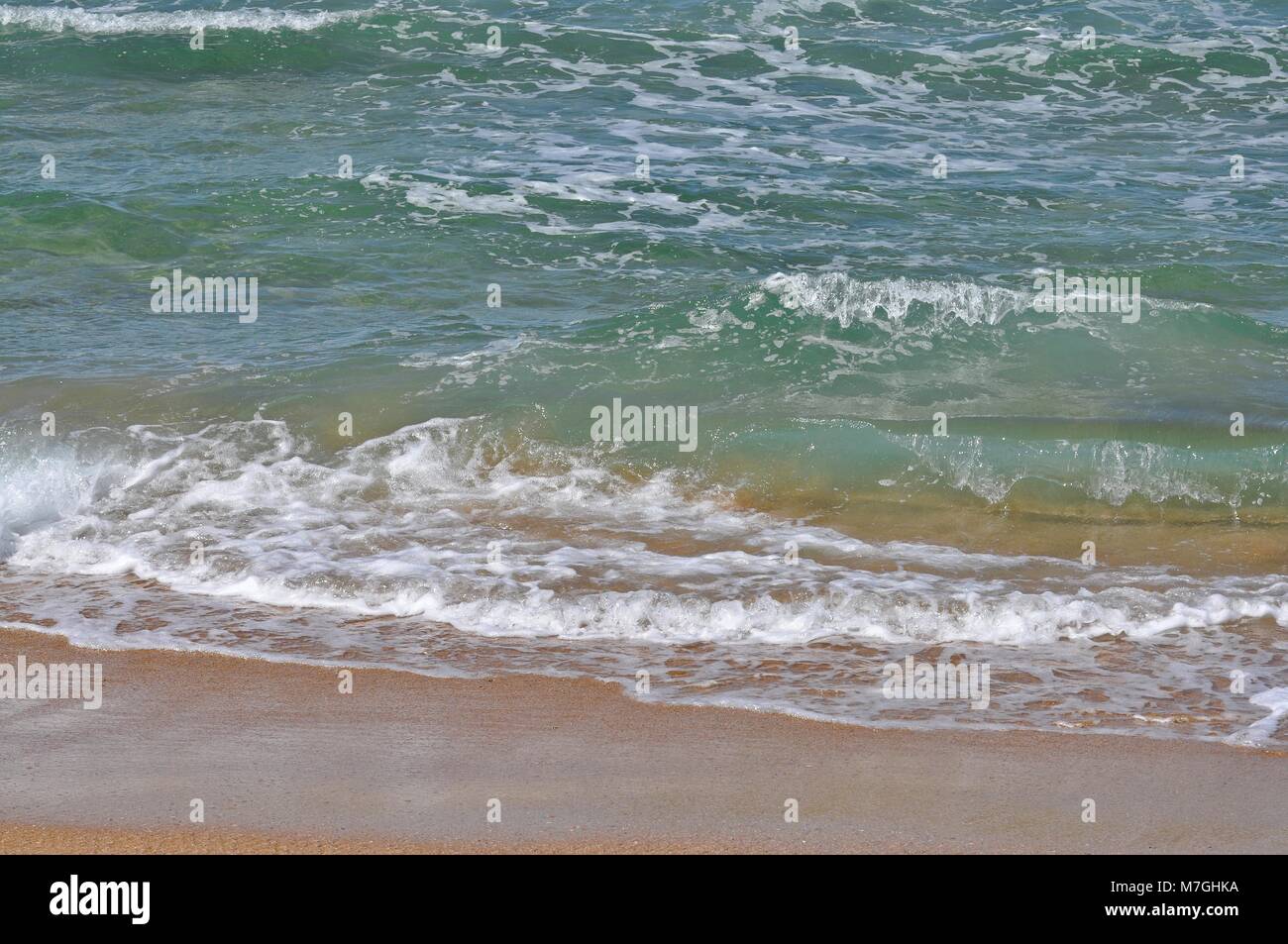 Les petites vagues au rivage avec du sable humide. Banque D'Images
