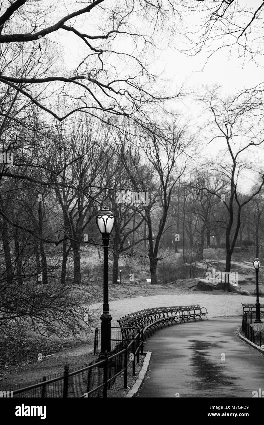 Central Park en février. Banque D'Images
