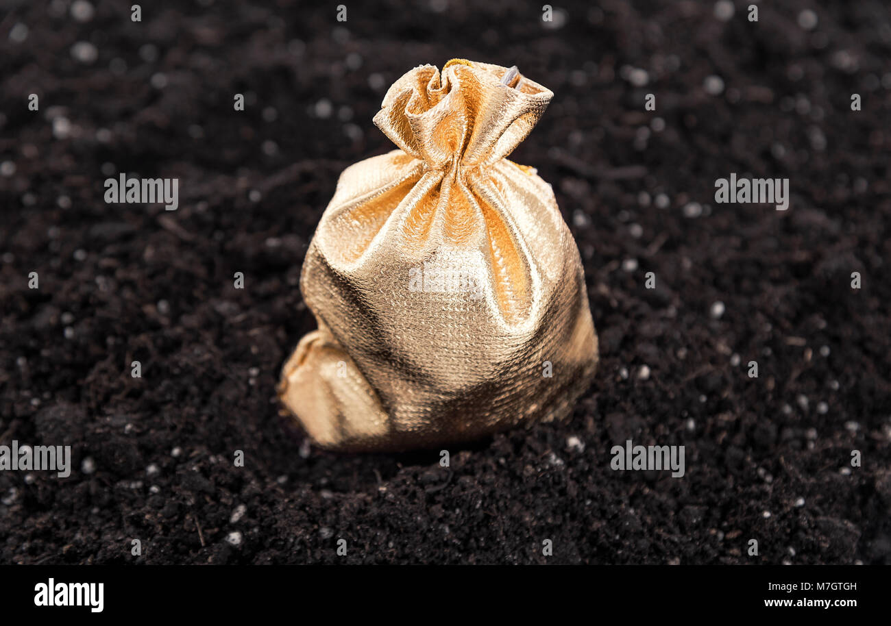 Sac d'or avec l'argent sur le terrain. Banque D'Images