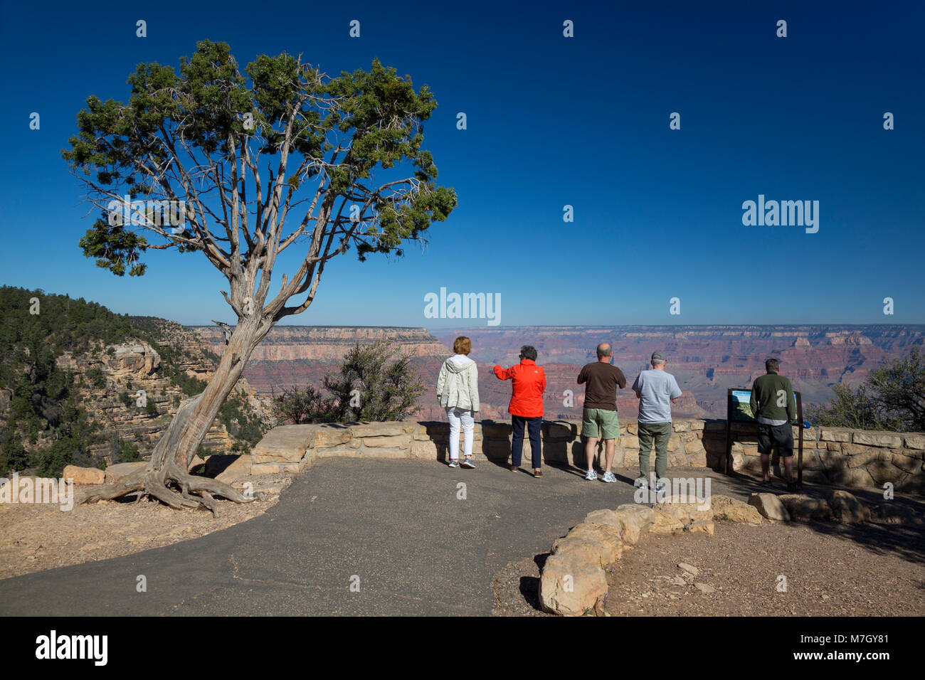 Les touristes à Grandview Point, Grand Canyon South Rim, Arizona, USA Banque D'Images