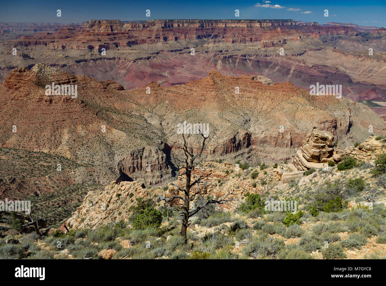 À au nord-ouest de Desert View, South Rim du Grand Canyon, Arizona, USA Banque D'Images