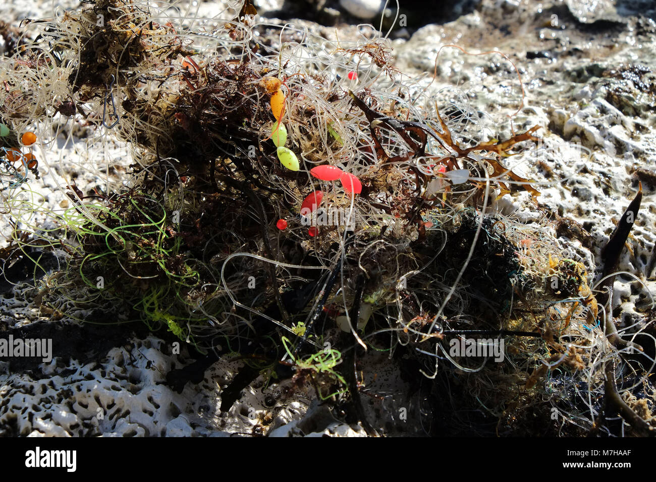 Ligne de pêche et des poids dans les rochers près de Brighton Marina. Plage déchets rejetés à terre Banque D'Images