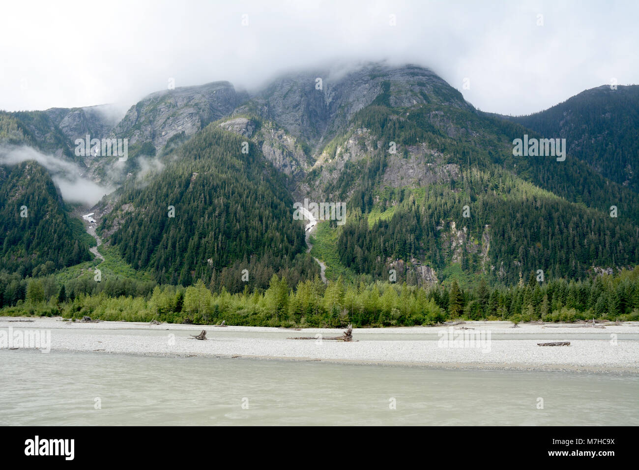 Montagne et forêt pluviale tempérée côtière au-dessus de la rivière Salmon, dans la forêt nationale de Tongass, près de Hyder, sud-est de l'Alaska, United States. Banque D'Images