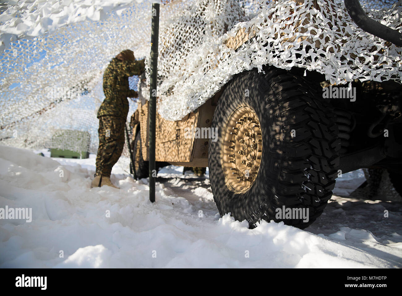 Avec un 2e Bataillon de défense aérienne à basse altitude la pratique de la mise en place de camouflage des véhicules à Fort Greely, en Alaska, en prévision de l'exercice Arctic Edge 18, 10 mars 2018. Arctic Edge 18 est une bi, à grande échelle, de l'exercice de formation qui prépare et teste la capacité de l'armée américaine pour l'exploitation dans le plan tactique par temps froid extrême conditions trouvées dans les milieux arctiques avec plus de 1500 participants de l'Armée de l'air, de l'armée, de la Garde côtière, Marine Corps, et de la marine en utilisant l'unique et grand air et de la terre dans les zones de formation de l'Alaska. (U.s. Marine Corps photo par le Sgt. Brianna Banque D'Images