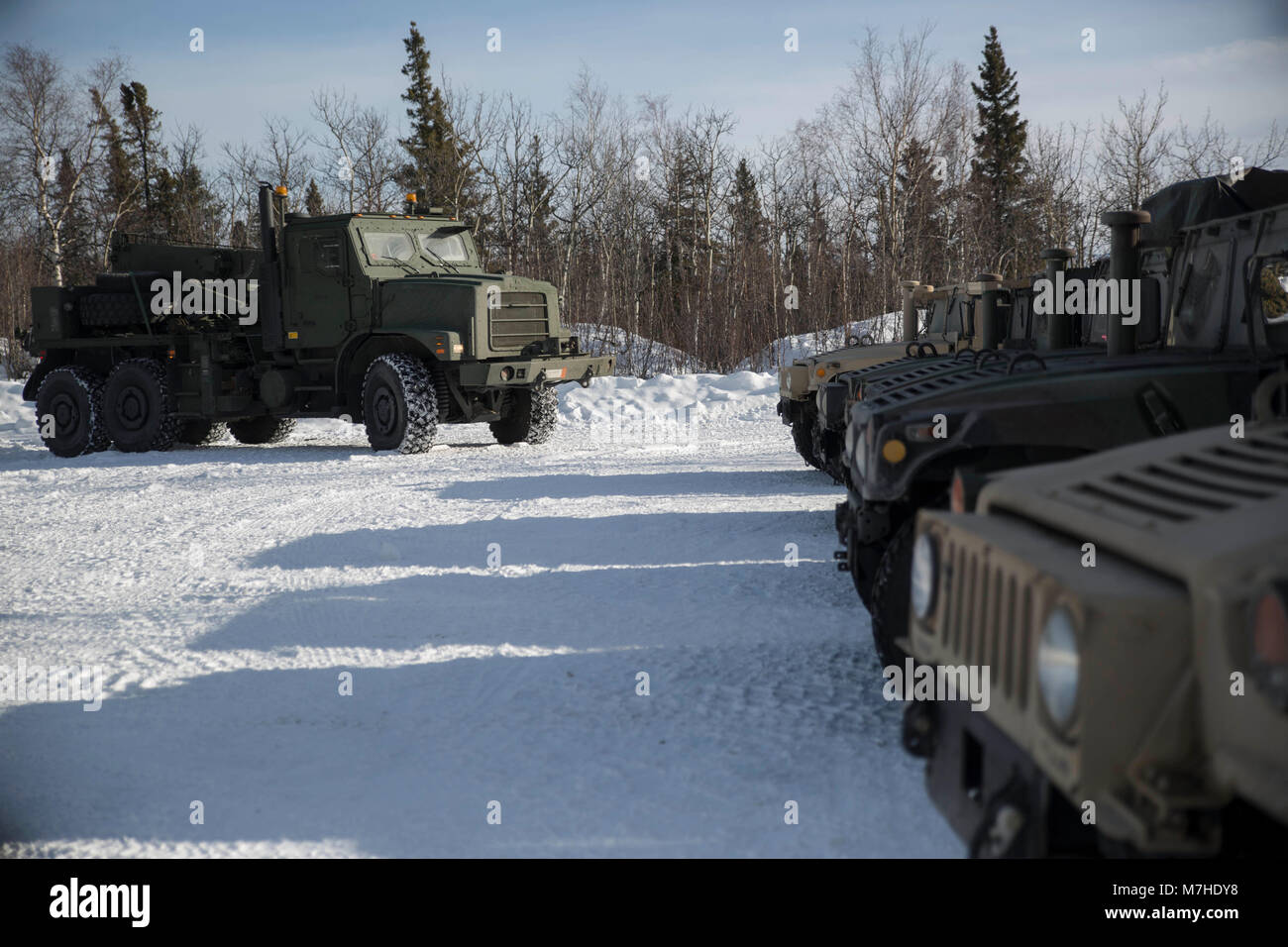 Un régiment de logistique de combat maritime avec 25 arrive avec un véhicule à Fort Greely, en Alaska, en prévision de l'exercice Arctic Edge 18, 9 mars 2018. Arctic Edge 18 est une bi, à grande échelle, de l'exercice de formation qui prépare et teste la capacité de l'armée américaine pour l'exploitation dans le plan tactique par temps froid extrême conditions trouvées dans les milieux arctiques avec plus de 1500 participants de l'Armée de l'air, de l'armée, de la Garde côtière, Marine Corps, et de la marine en utilisant l'unique et grand air et de la terre dans les zones de formation de l'Alaska. (U.s. Marine Corps photo par le Sgt. Brianna Gaudi) Banque D'Images