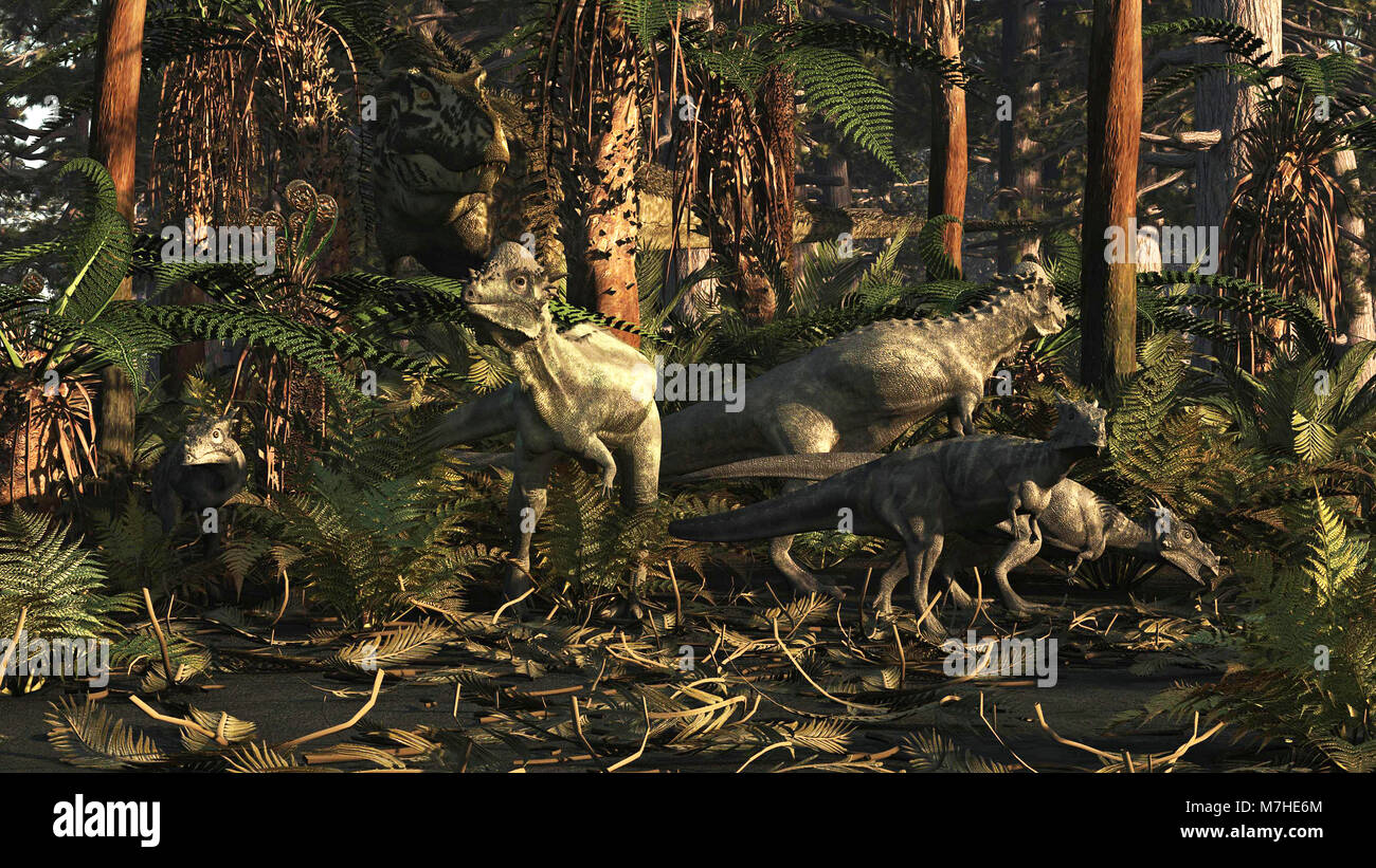 Une famille qui ne se doute de Pachycephalosaurus est traquée par un T-Rex dinosaure. Banque D'Images