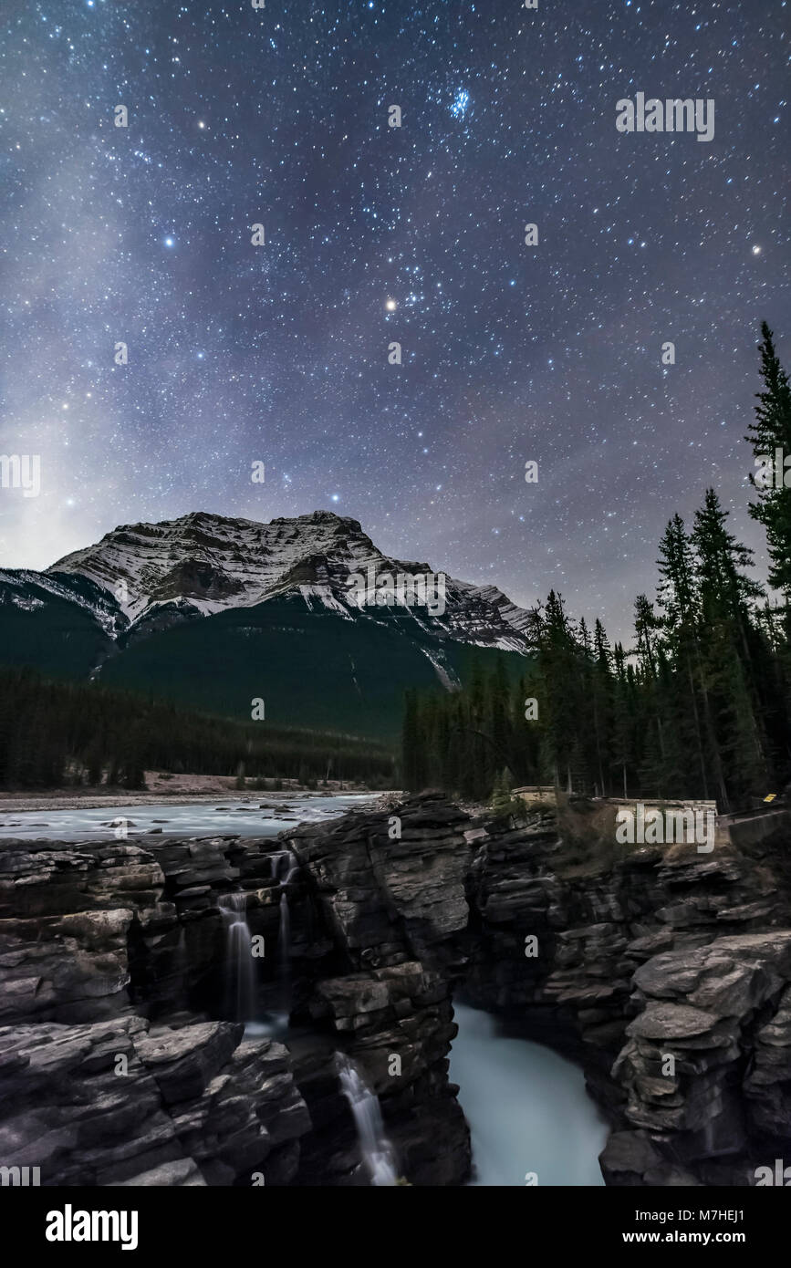 Les étoiles des Pléiades et d'autres étoiles du taureau au-dessus du Parc National de Jasper, Alberta, Canada. Banque D'Images
