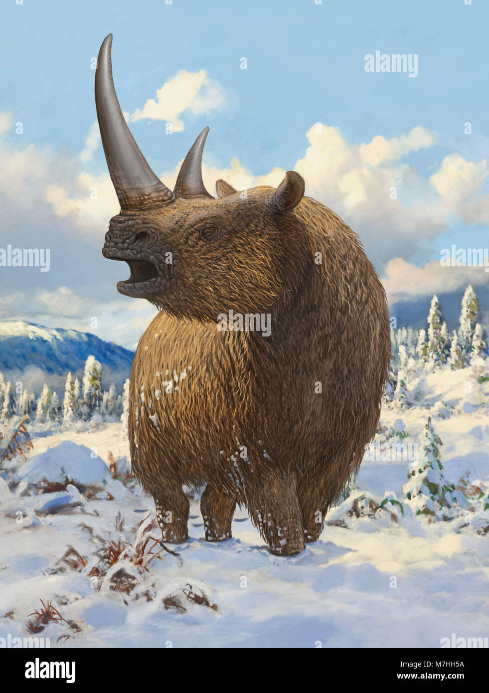 Un rhinocéros laineux debout dans la neige. Banque D'Images