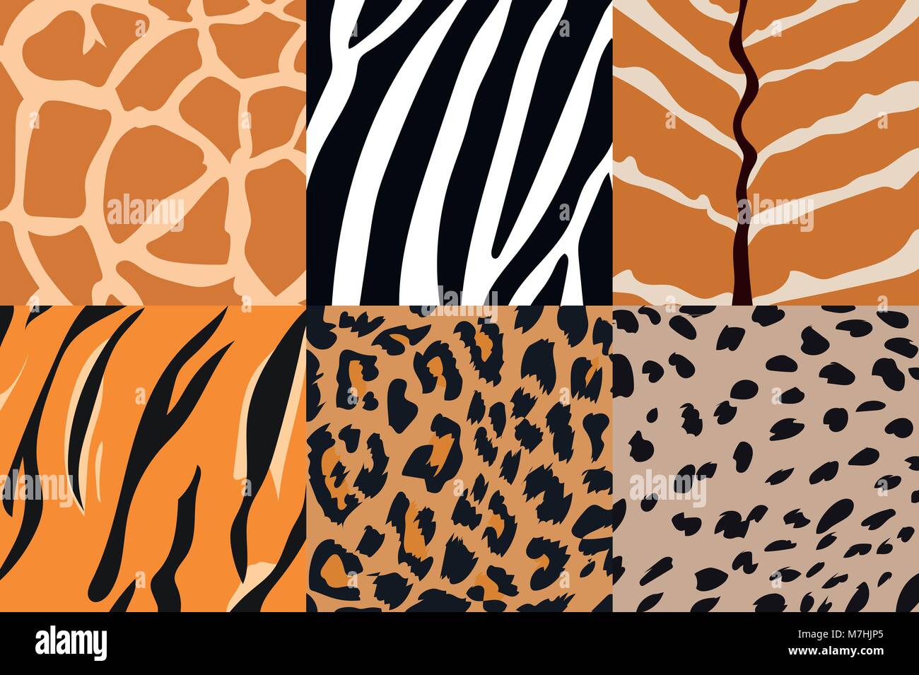 Illustration Vecteur de tigre, zèbre, girafe, guépard, Nyala et motif léopard. Motif imprimé animal. Illustration de Vecteur
