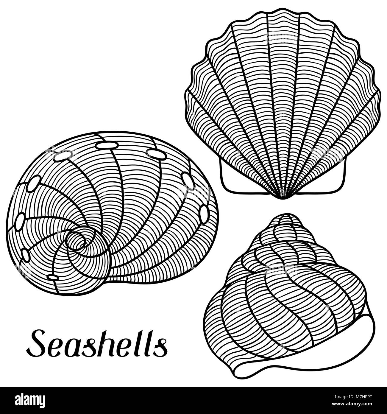 Ensemble de coquillages stylisés. Pour les objets de décoration, design sur des brochures publicitaires, bannières, écorcheurs Illustration de Vecteur